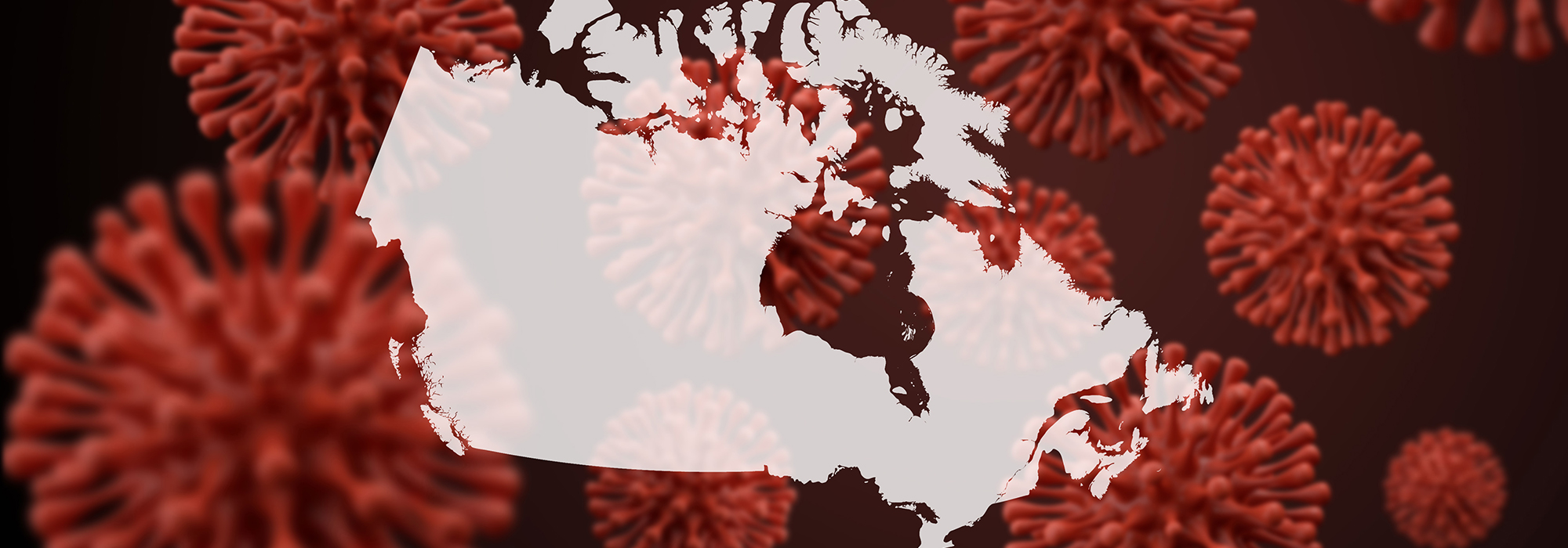 365 jours de données montrent que les provinces canadiennes ont utilisé des approches très différentes pour lutter contre la COVID-19