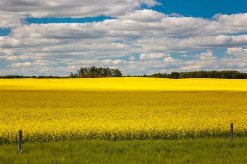 « Innovate Rural: Canada’s Rural Innovation Festival & Forum 2026 »